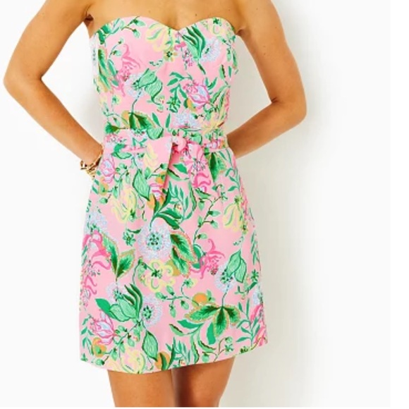lilly pulitzer romper/dress - Picture 1 of 3
